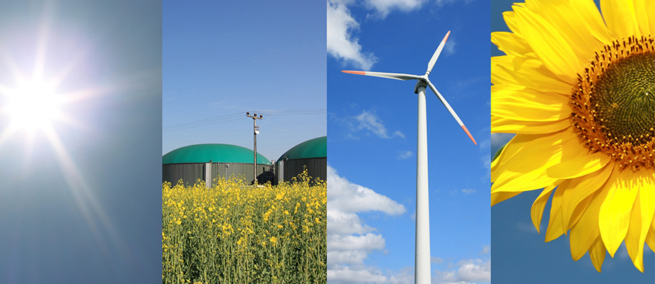 Abbildung: Sonne, Bioenergie Silo, Windrat, Sonnenblume